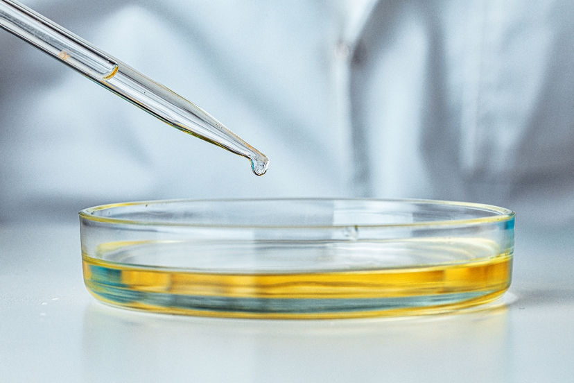 Trans Diagnostics Lab